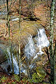 Parco delle Foreste Casentinesi.